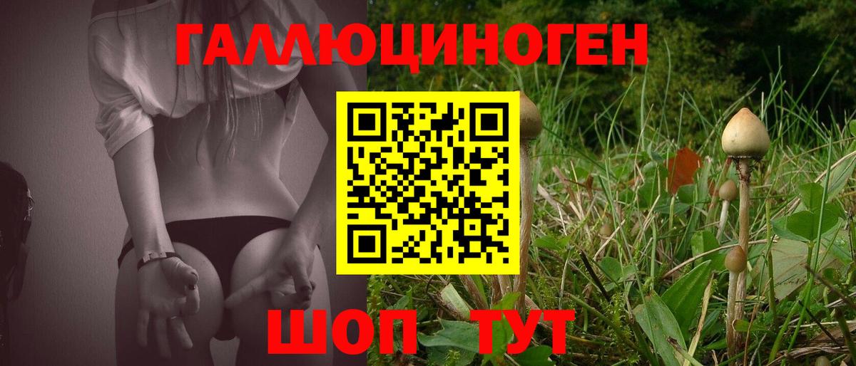 Галлюциногенные грибы мухоморы  как найти   Александров  Вход с VPN  Галлюциногенные грибы Psilocybine cubensis 