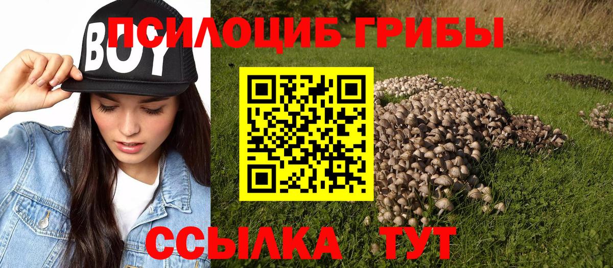Псилоцибиновые грибы MAGIC MUSHROOMS Александров